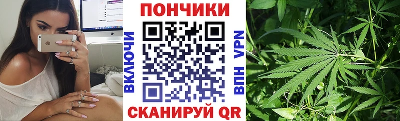 Виды наркоты Губкин Бошки Шишки  А ПВП  Гашиш 