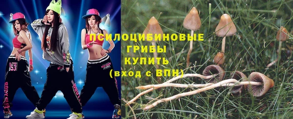 прущая мука Богородицк