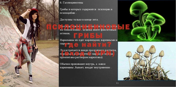 МДПВ Богданович