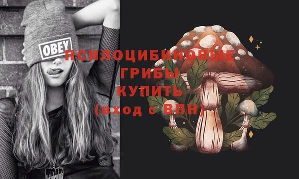 спайс Богородск