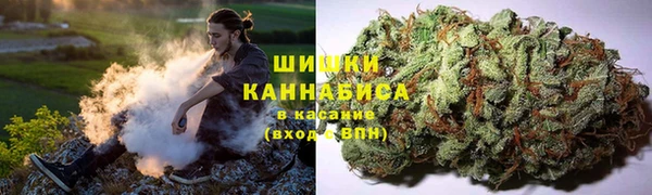 прущая мука Богородицк