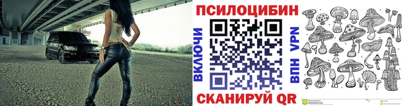 Псилоцибиновые грибы Psilocybine cubensis даркнет наркотические препараты Губкин